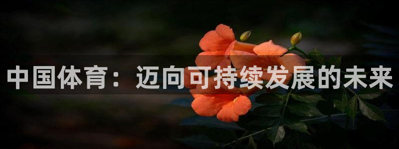 xc体育