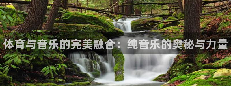 xc体育