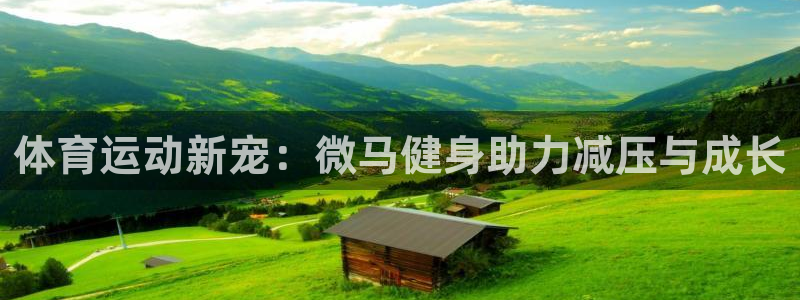 xc体育