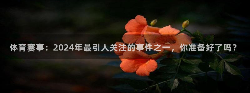 xc体育