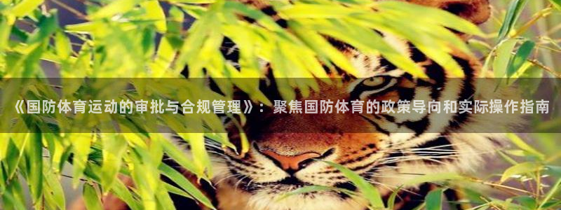 xc体育
