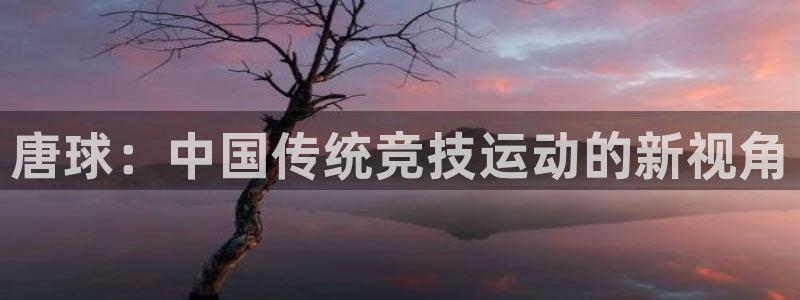 xc体育