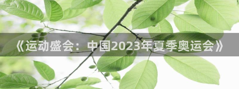 xc体育app官方网站