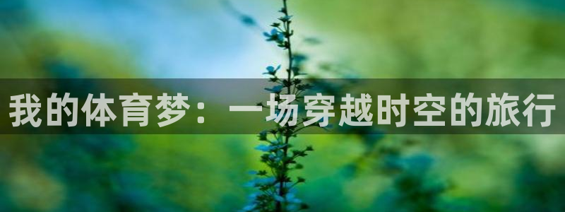 xc体育app官方网站