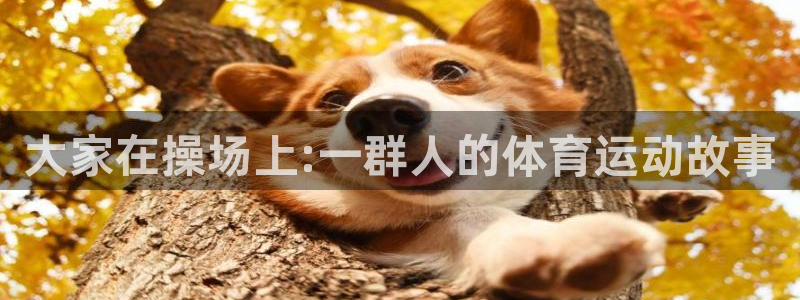 xc体育