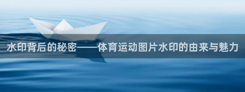 xc体育