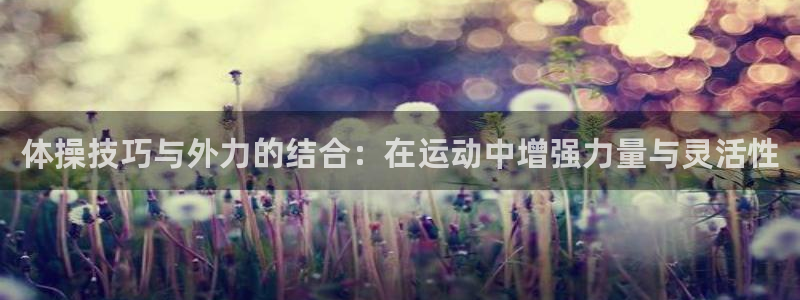 xc体育app官方网站