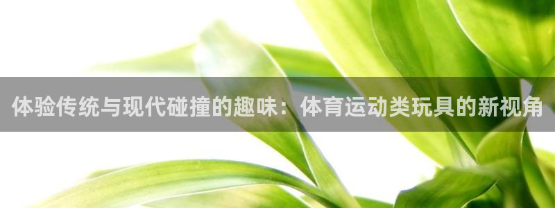 xc体育