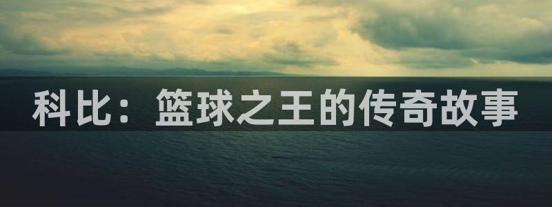 xc体育