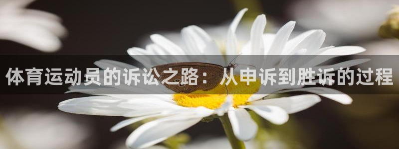 xc体育