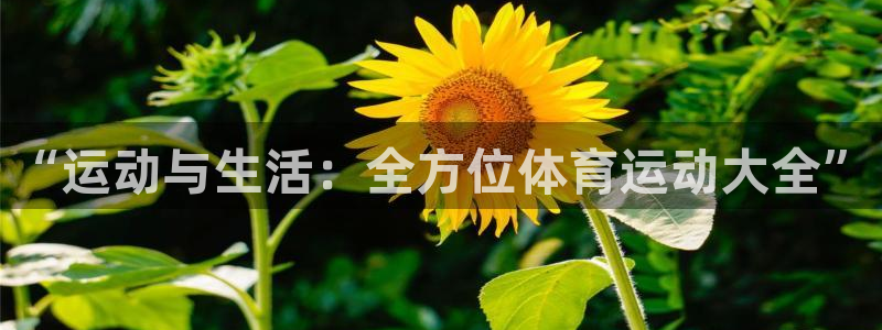 xc体育