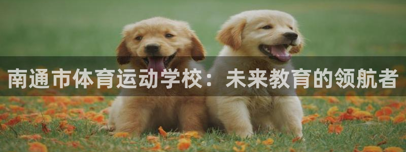 xc体育